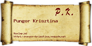Pungor Krisztina névjegykártya